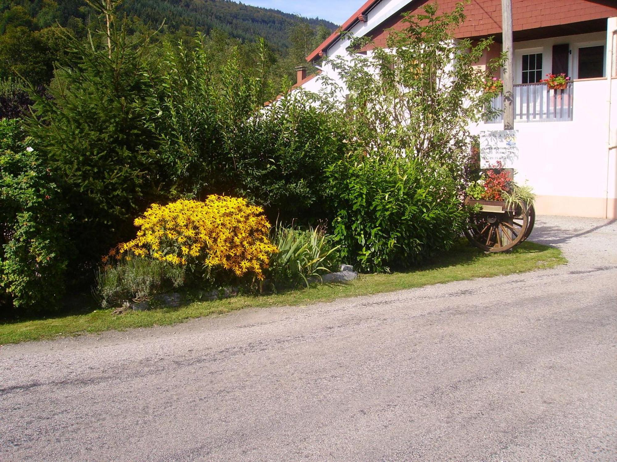 Gîtes Les Grandes Voies Le Ménil Exterior foto