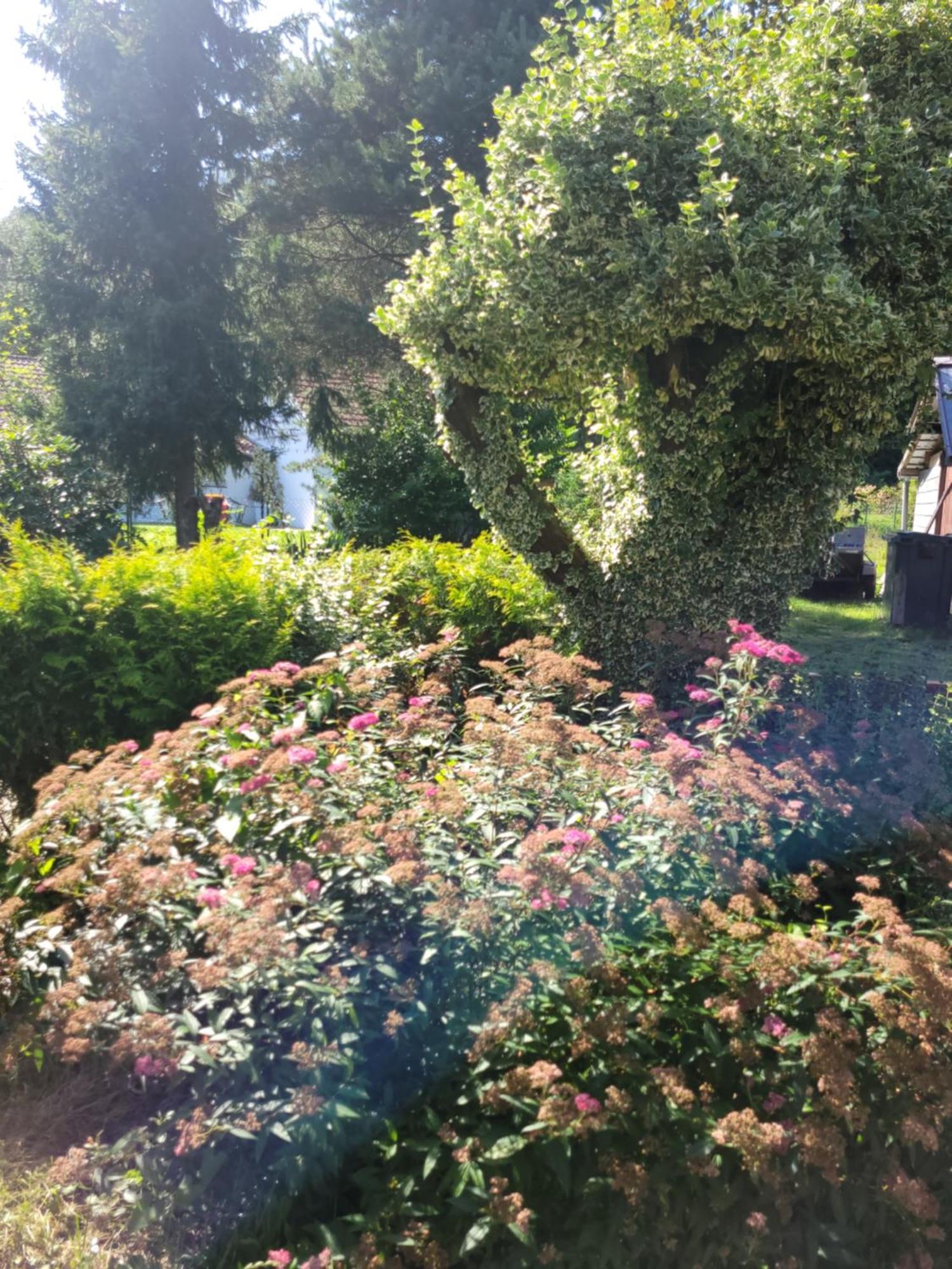 Gîtes Les Grandes Voies Le Ménil Exterior foto