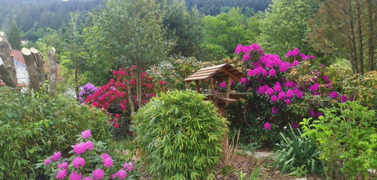 Gîtes Les Grandes Voies Le Ménil Exterior foto